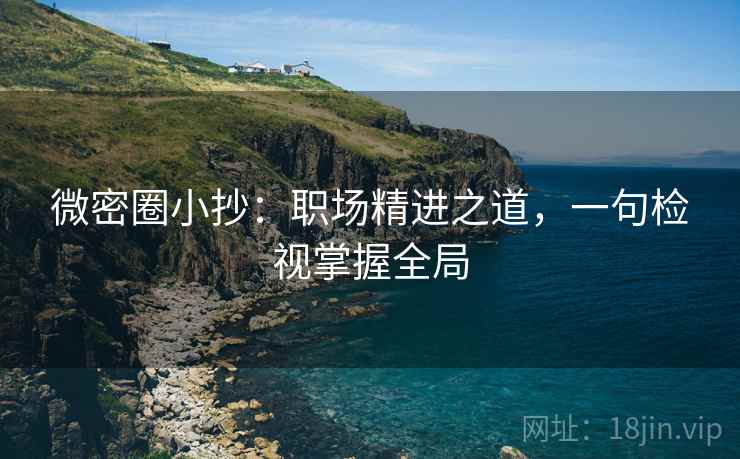 微密圈小抄：职场精进之道，一句检视掌握全局